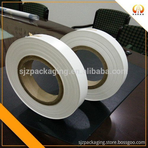Polyester Film for Electric Motor Insulation